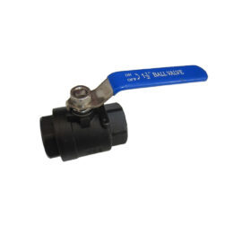 2 Piece Carbon Steel Ball Valve BSPP