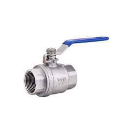 2 Piece Stainless Steel Economy BSPP Ball Valve