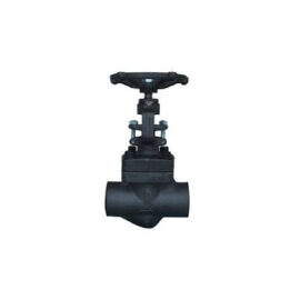 Forged Steel Gate Valve Class 800