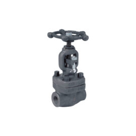 Forged Steel Globe Valve Class 800