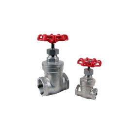 Stainless Steel Gate Valve