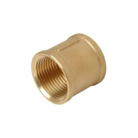 Brass screwed socket